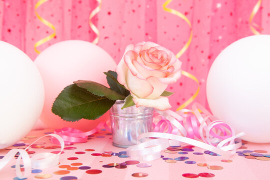 Pink rose flower on rosy background with air balloons, happy birthday concept, beautiful card	