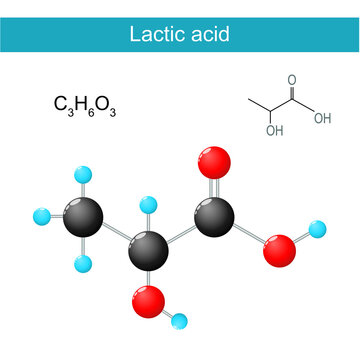 Lactic Acid Molecular Formula