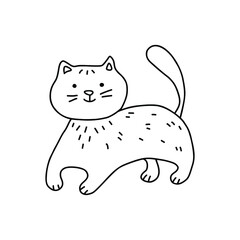 Vector doodle illustration of cute cat.