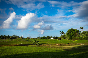 Naklejka premium Redundant golf course at sunrise on Grand Cayman, Cayman Islands 