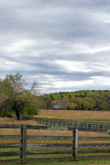 Fototapeta na wymiar Vertical composition of a barn on a county farm on a cloudy Autumn day.