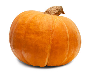 Orange pumpkin isolated on white background