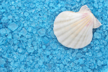 the shell lies on the blue sea salt