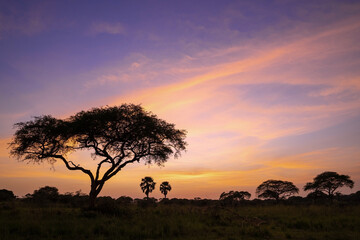 Naklejka na ściany i meble Sunrise, Uganda