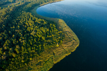 Aerial landscape of the lake and part of the green forest in a daylight.