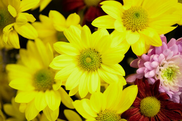 close-up of the yellow flowers that are in the bouquet