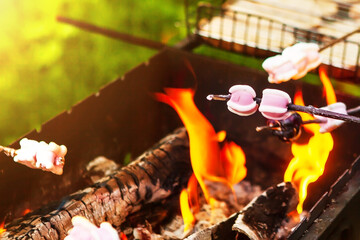 Sweet and delicious marshmallows on stick over the bonfire