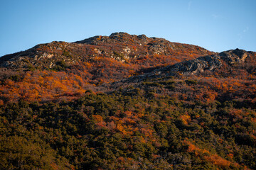 Obraz premium Autumn in Ushuaia