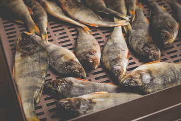 The process of preparing dried fish with an automatic dryer at home.
