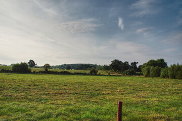 beautiful green meadow, summer in England