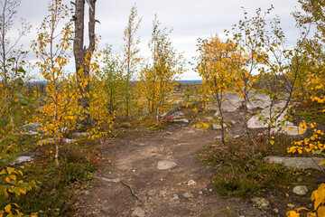 Megalithic seid boulder stones, dead trees in nature reserve on mountain Vottovaara, Karelia, Russia. Autumn in mountain