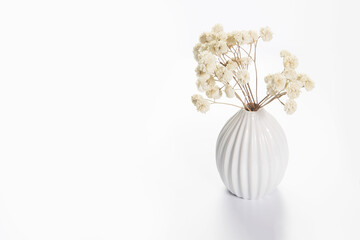 Copy space. Place for text. A vase with white dry flowers stands on a tray for Valentine's Day. Isolated on the white background