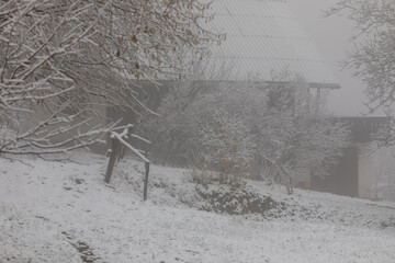 Winter in Croatia. Snow. Fog.