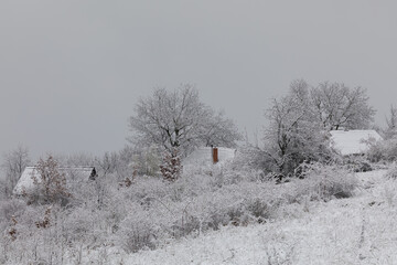 Winter in Croatia. Snow. Fog