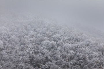 Winter in Croatia. Snow. Fog