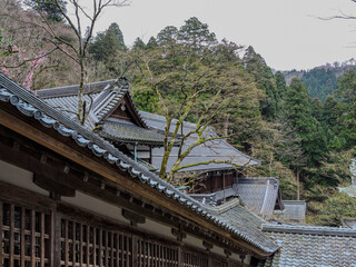 永平寺境内　回廊の屋根と瓦屋根