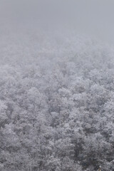 Winter in Croatia. Snow. Fog