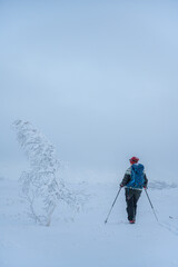 Fototapeta na wymiar Woman skiing in cold conditions with frosty snow in Norway