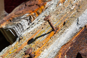 Old weathered piece of wood with a rusty nail