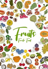 Fruit collection in flat hand drawn style, decorative retro style illustrations set. Tropical fruit and graphic design elements. Sketch style, ingredients color cliparts.