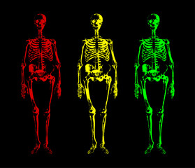 illustration of three skeletons on a black background