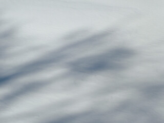 Shadows and patterns on  the surface of snow