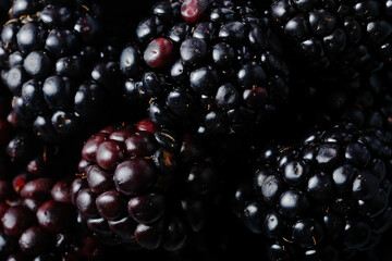 Blackberry fruit texture in closeup view.