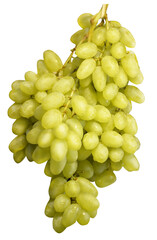 light bunch of grapes vertical photo close-up