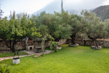 Green summer Greek traditional yard with olive trees, grill stove and stone walls. Summer travel...