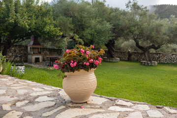 Big vase with pink flowers in green summer Greek traditional yard with olive trees and stone walls. Summer travel locations architecture details