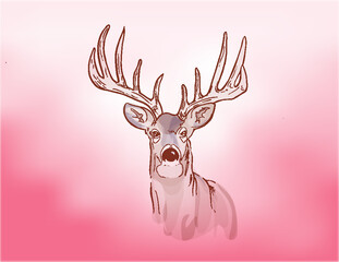 Vector line art of a buck with a big rack in mist