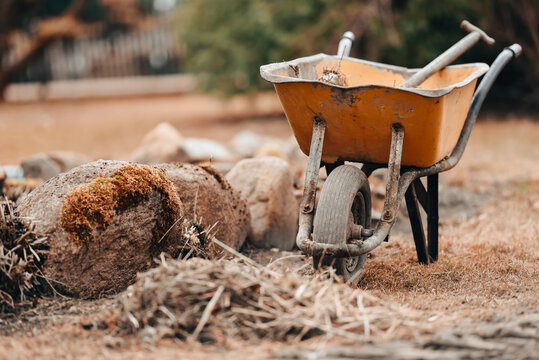 Spring Cleaning Garden And Yard Concept - Wheelbarrow Next To The Pile Of Dead Grass