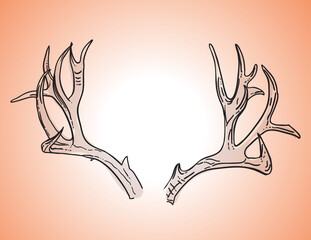 Deer antlers lineart