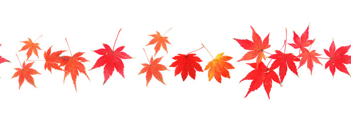 seamless line pattern of fall leaves on a white background
