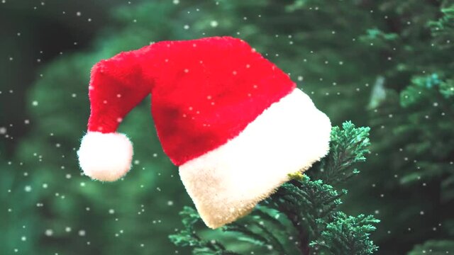 "Christmas Cap" Images – Browse 4,548 Stock Photos, Vectors, and Video ...