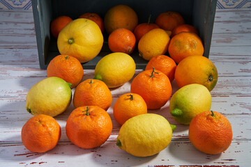 Clementines, lemons and oranges roll out of a box. Healthy food and vitamin c. Top view.