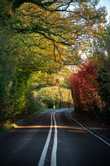 Obraz premium Winding rural road in autumn withcolorful foliage tree in rural area by Billingshurst, West Sussex, UK.