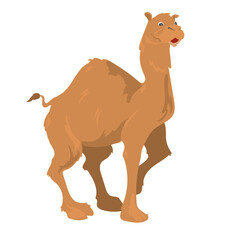 cute camel design