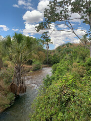 Fototapeta premium river in the jungle