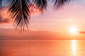 Beautiful sea sunset, morning ocean sunrise, tropical island beach, palm tree leaves silhouette,...