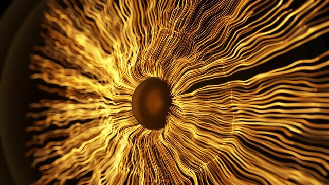 Blooming digital sunflower closeup