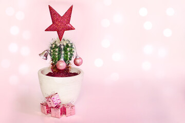 cactus decorated tree as Christmas tree in pot of gifts. Colors of year 2022. pacific pink color. New Year's Eve Background