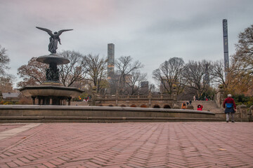 Fototapeta na wymiar Fall season in Central Park NYC, cold cloudy day.