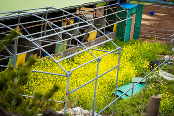 Fototapete bei efototapeten.de bestellen   