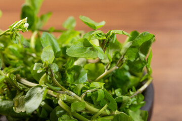 Green watercress in bowl on the table.