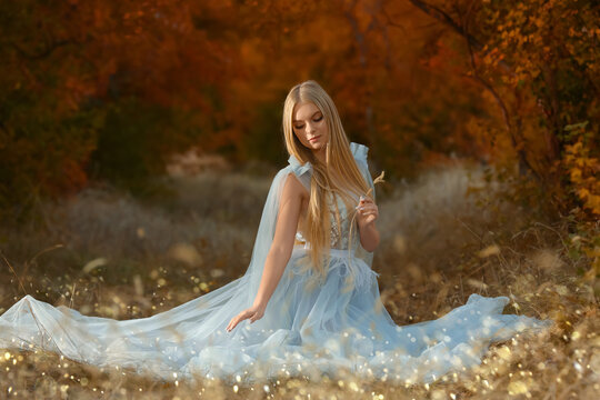 Beautiful girl wearing fairy dress in autumn forest