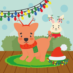 Fototapeta premium christmas pets card