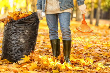 Man gathering autumn leaves outdoors