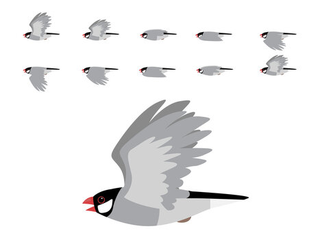 Java Sparrow Flying Animation Cute Cartoon Vector Illustration