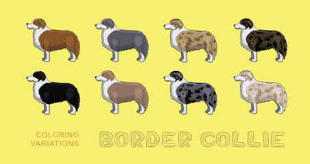 Dog Border Collie Coloring Variations Cartoon Vector Illustration